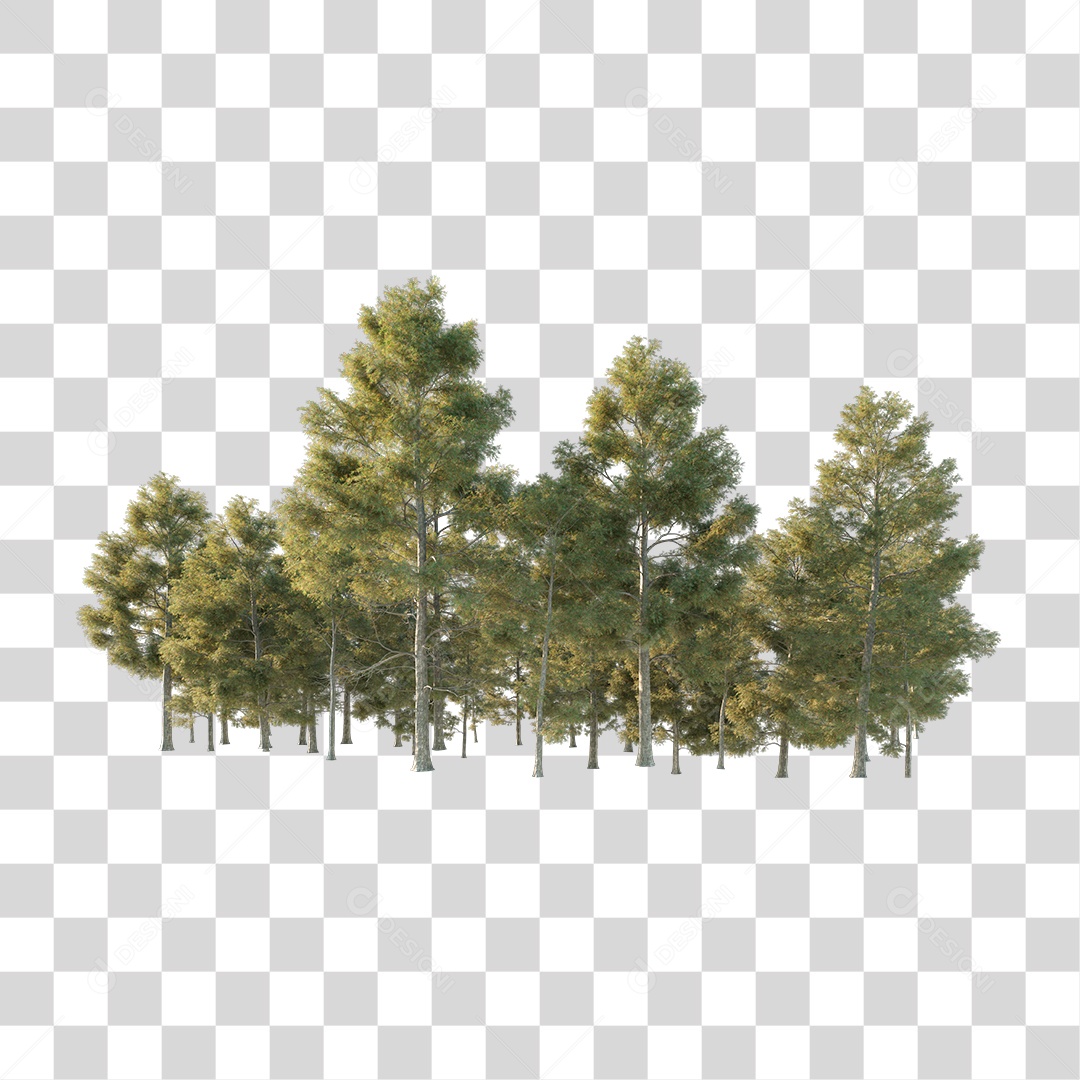 Árvores verdes PNG Transparente