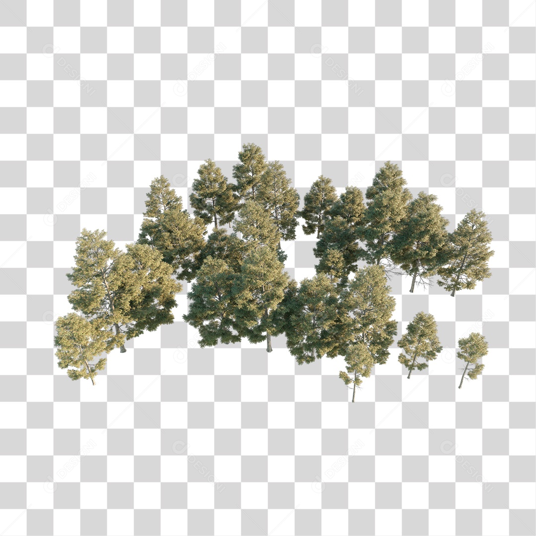 Árvores verdes PNG Transparente
