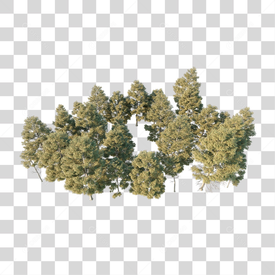 Árvores verdes PNG Transparente