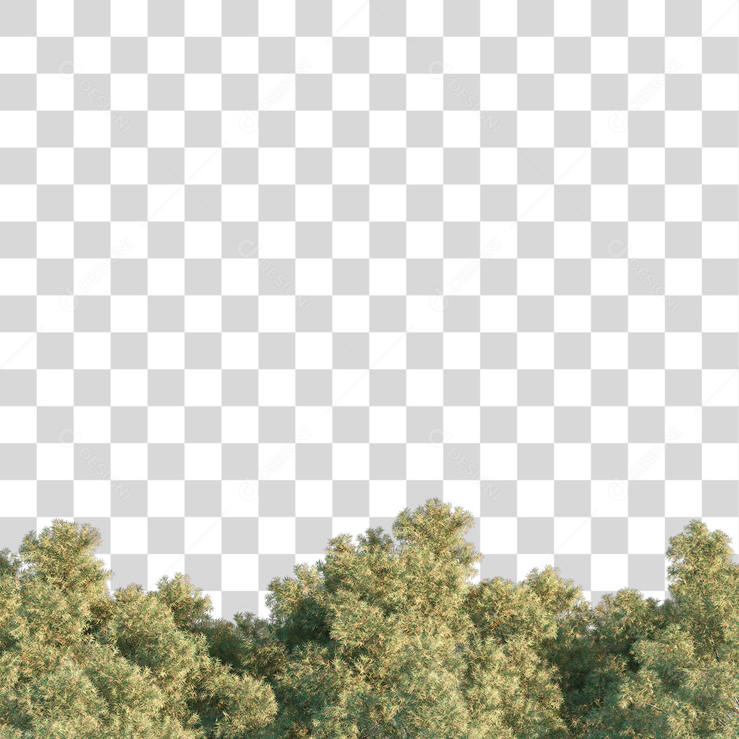 Árvore de Folha Verde Planta PNG Transparente