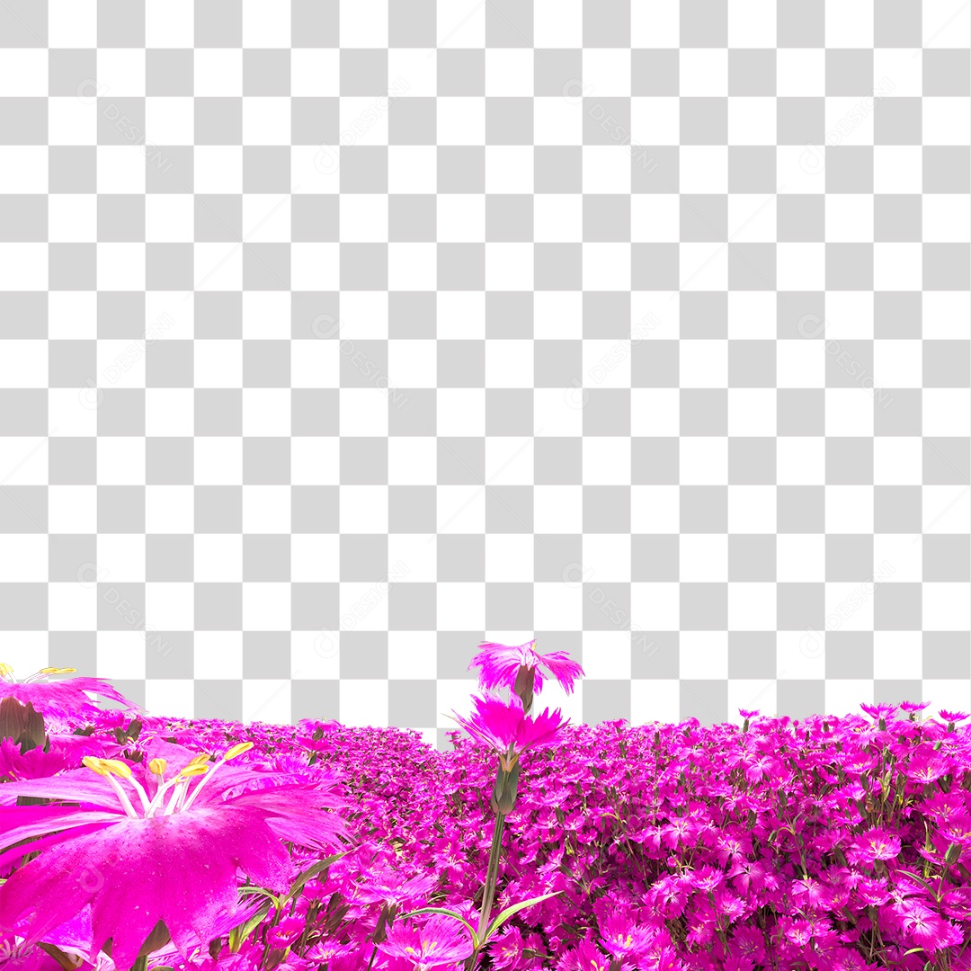 Arbusto de Flores PNG Transparente