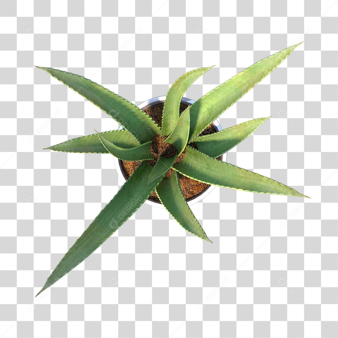 Vaso com Planta PNG Transparente