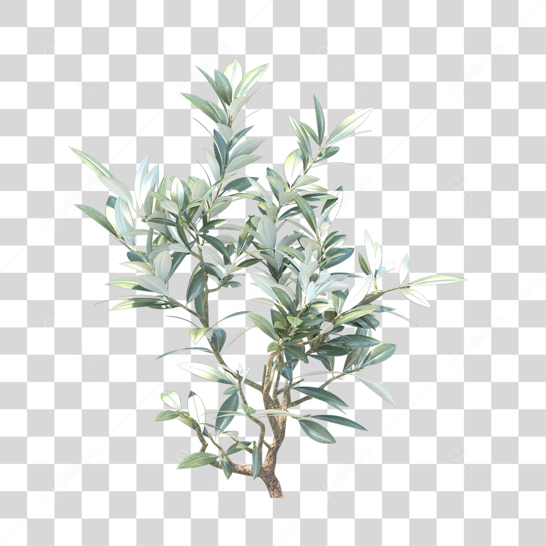 Planta com folhas verdes pedra PNG Transparente