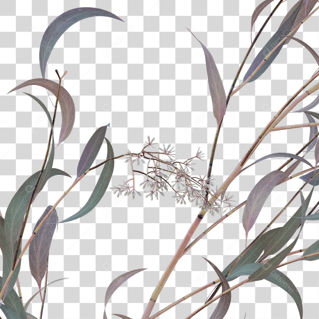 Galhos de folhas verdes PNG Transparente