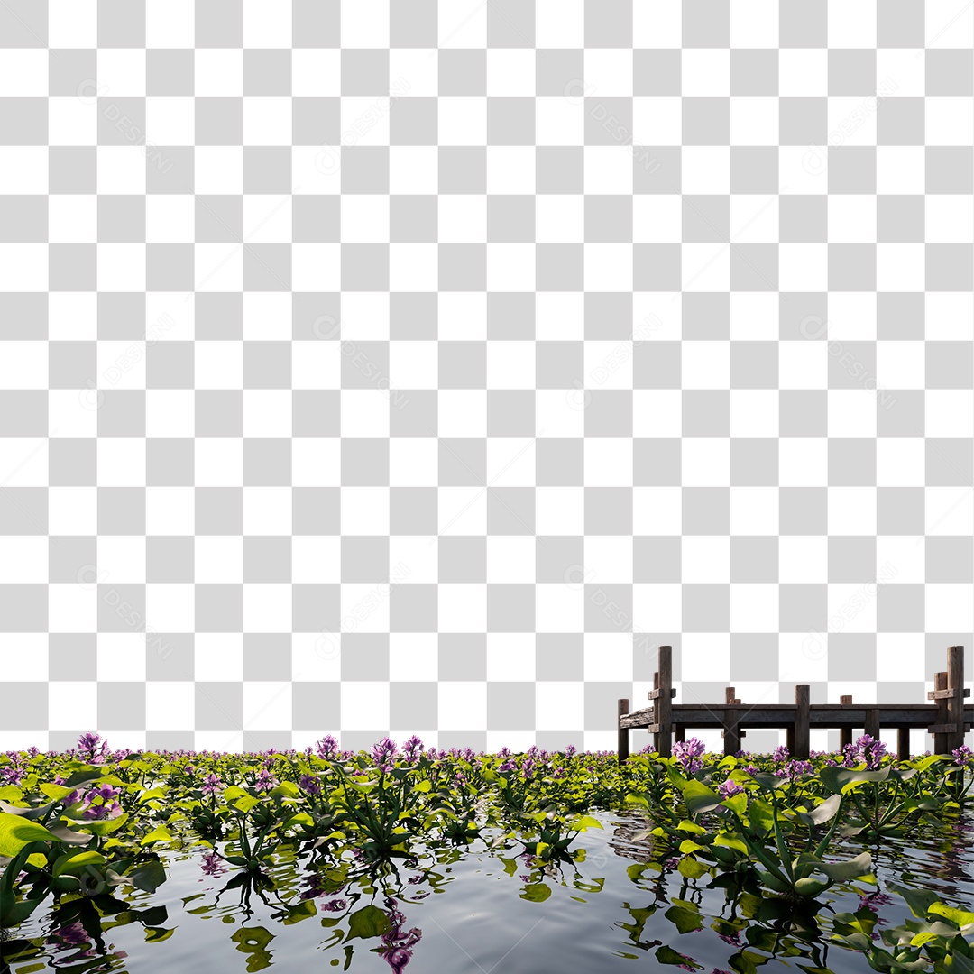 Passarela Sobre Lago com Varias Planta Aquática e Flores PNG Transparente