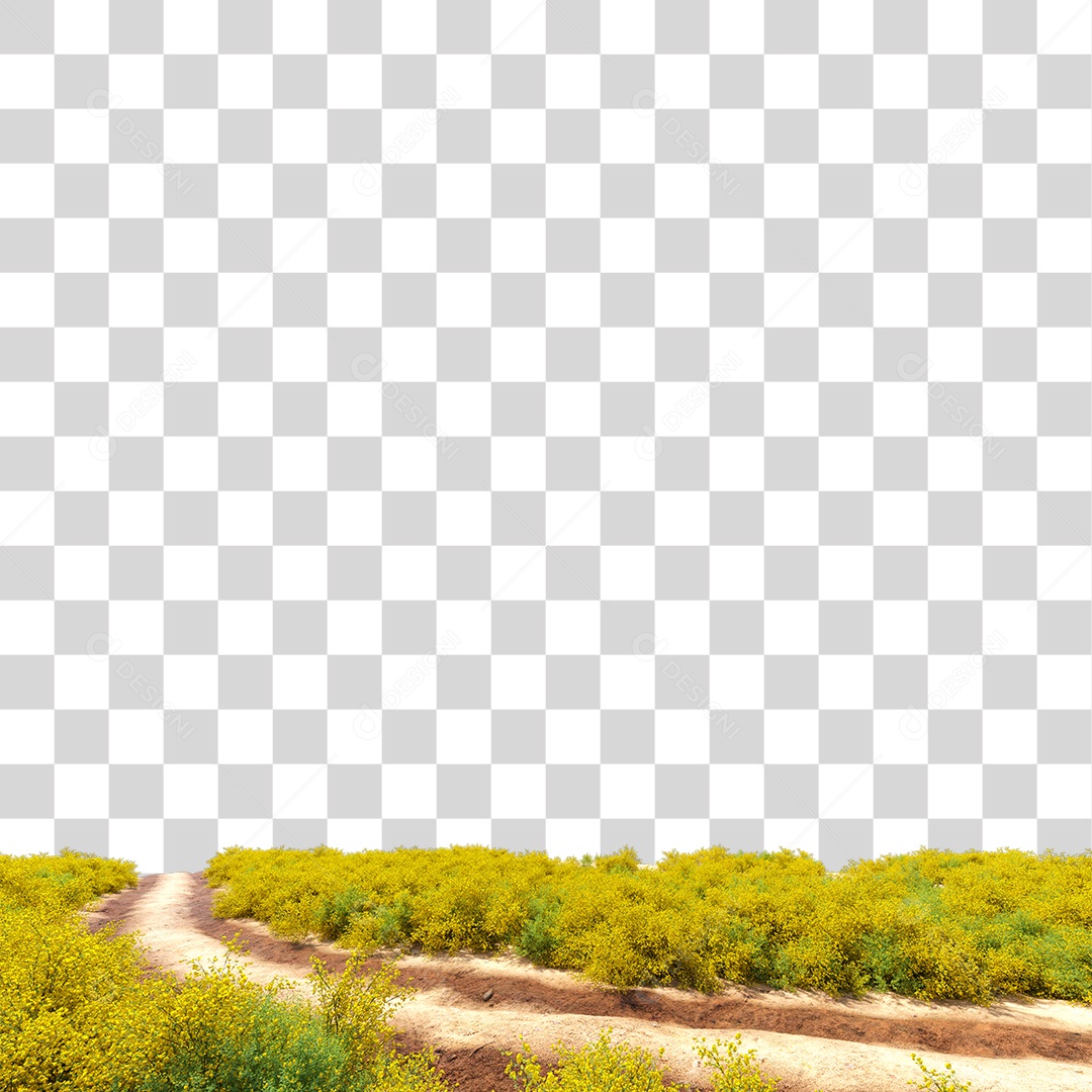 Planta Arbusto Estrada PNG Transparente