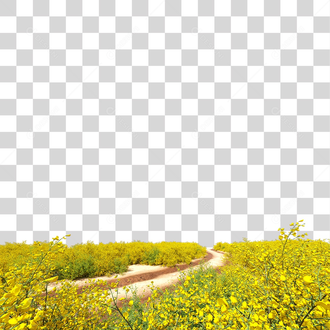 Planta Arbusto Estrada PNG Transparente