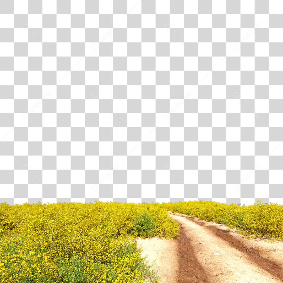 Planta Arbusto Estrada PNG Transparente