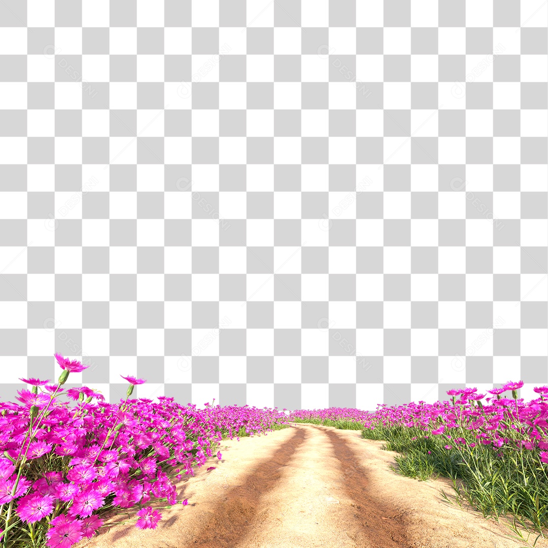 Planta Arbusto Estrada PNG Transparente