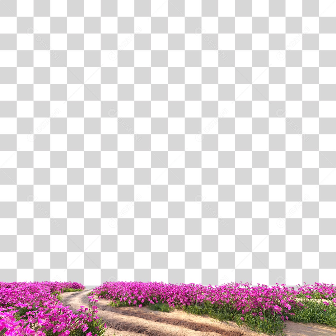 Planta Arbusto Estrada PNG Transparente