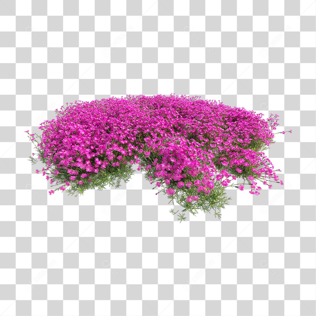 Plantas com Flor PNG Transparente