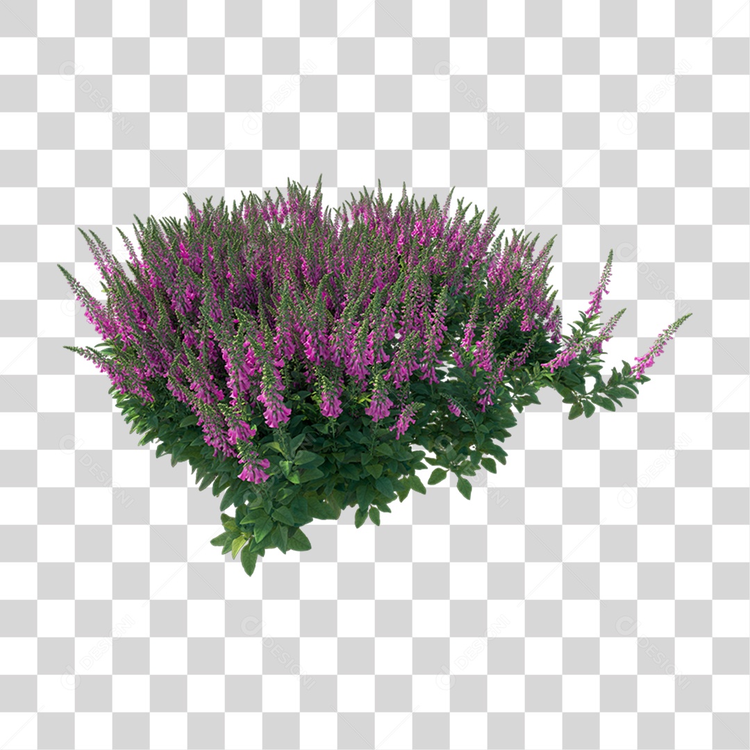 Planta Com Flor PNG Transparente