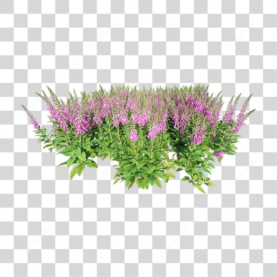 Planta Com Flor PNG Transparente