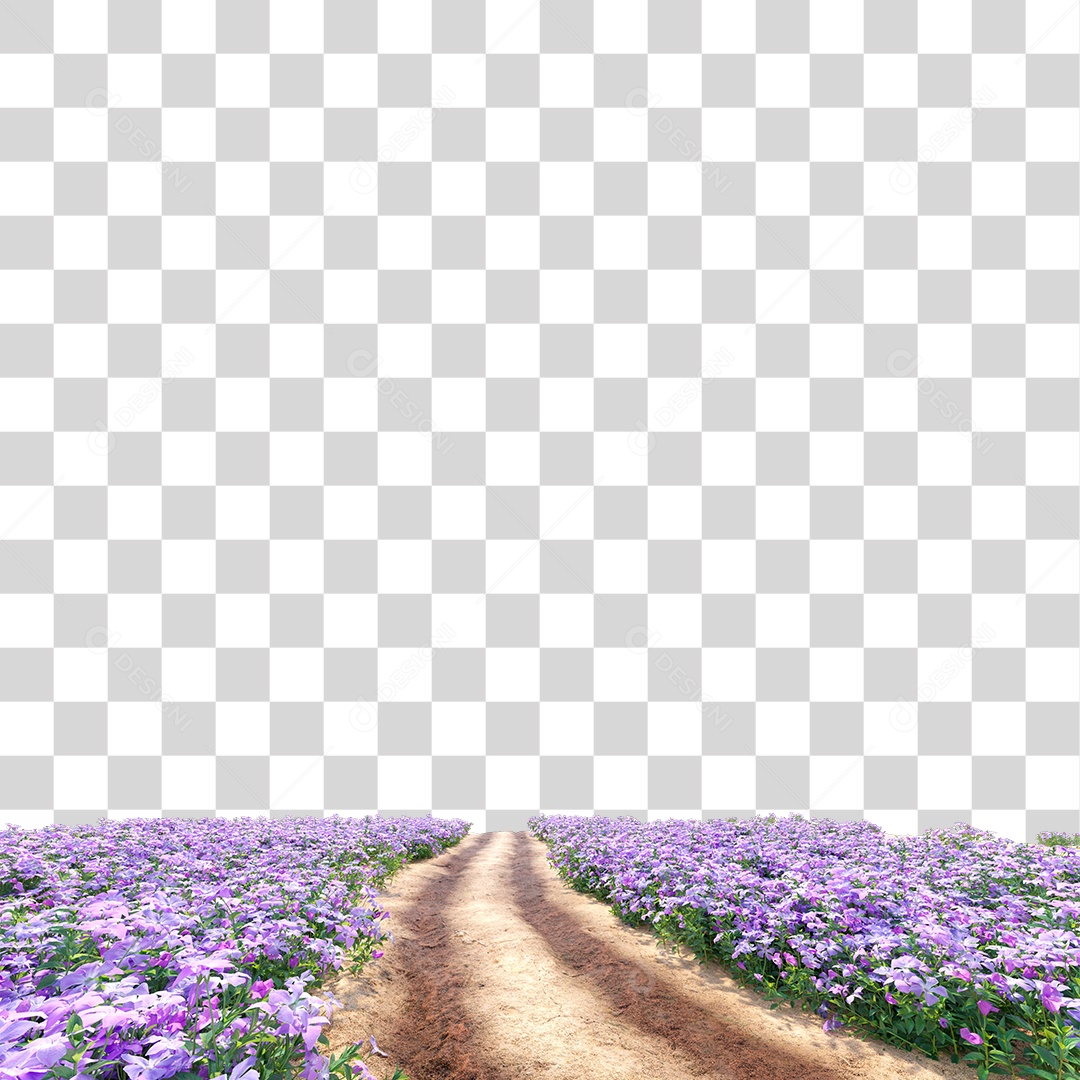 Planta Arbusto estrada PNG Transparente