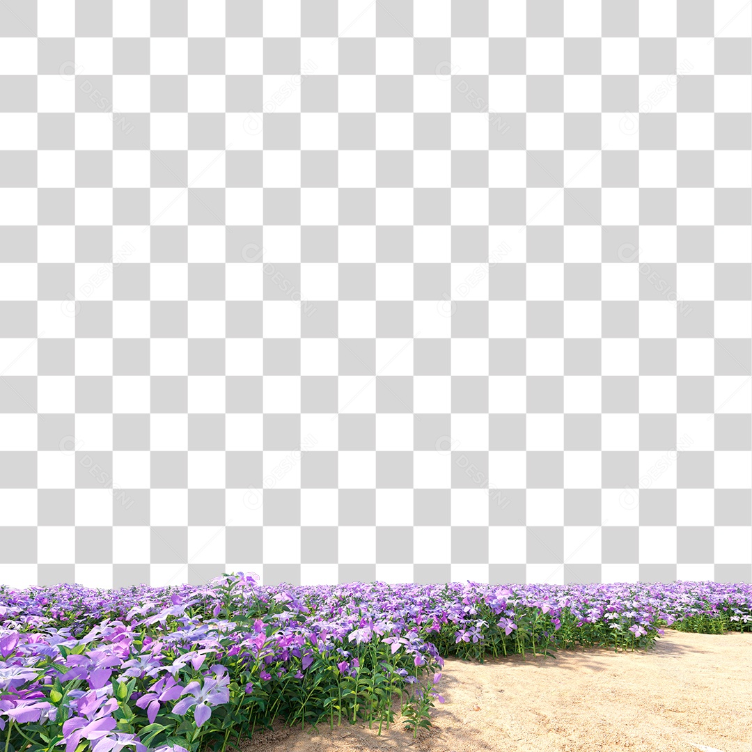 Planta Arbusto Estrada PNG Transparente