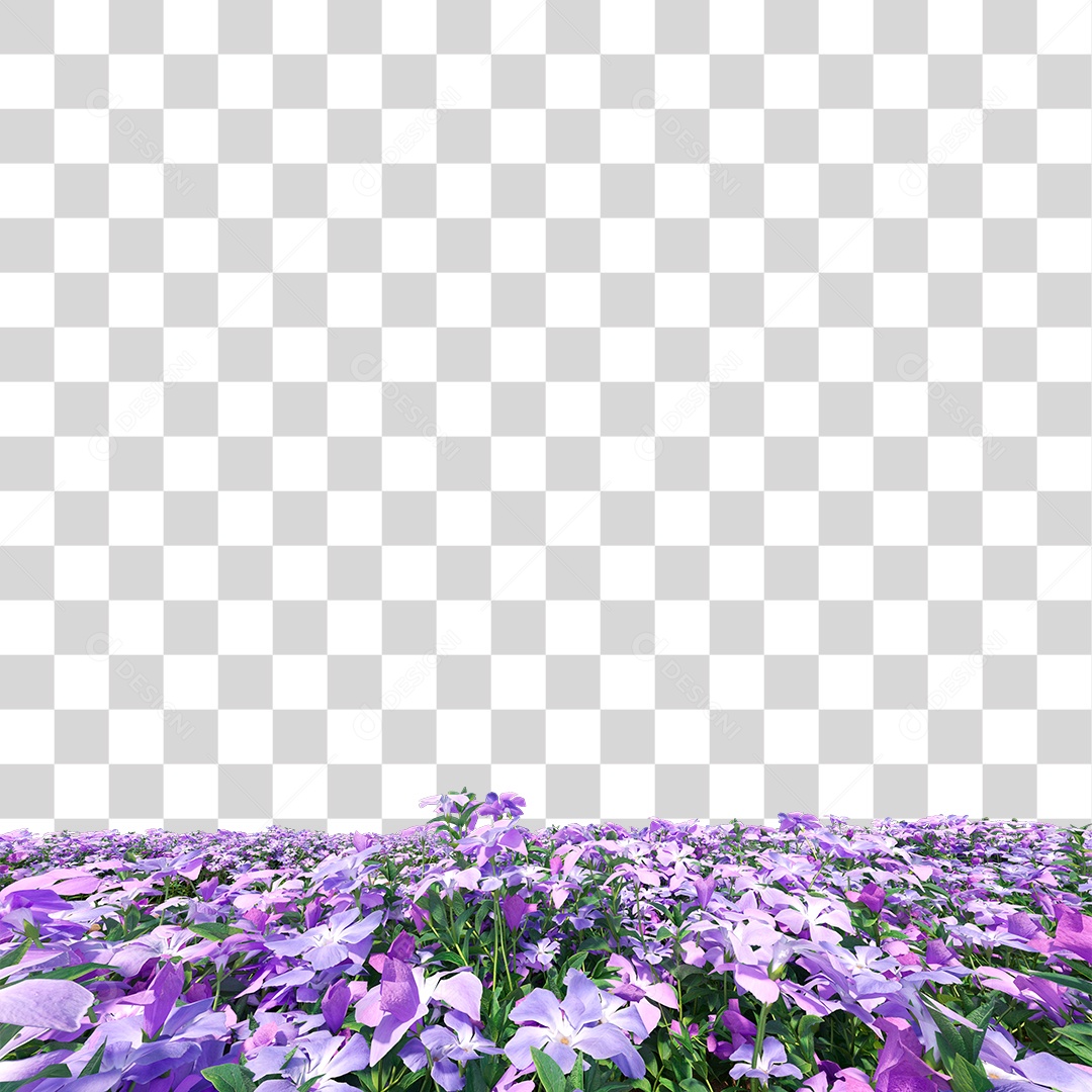 Planta Com Flor PNG Transparente