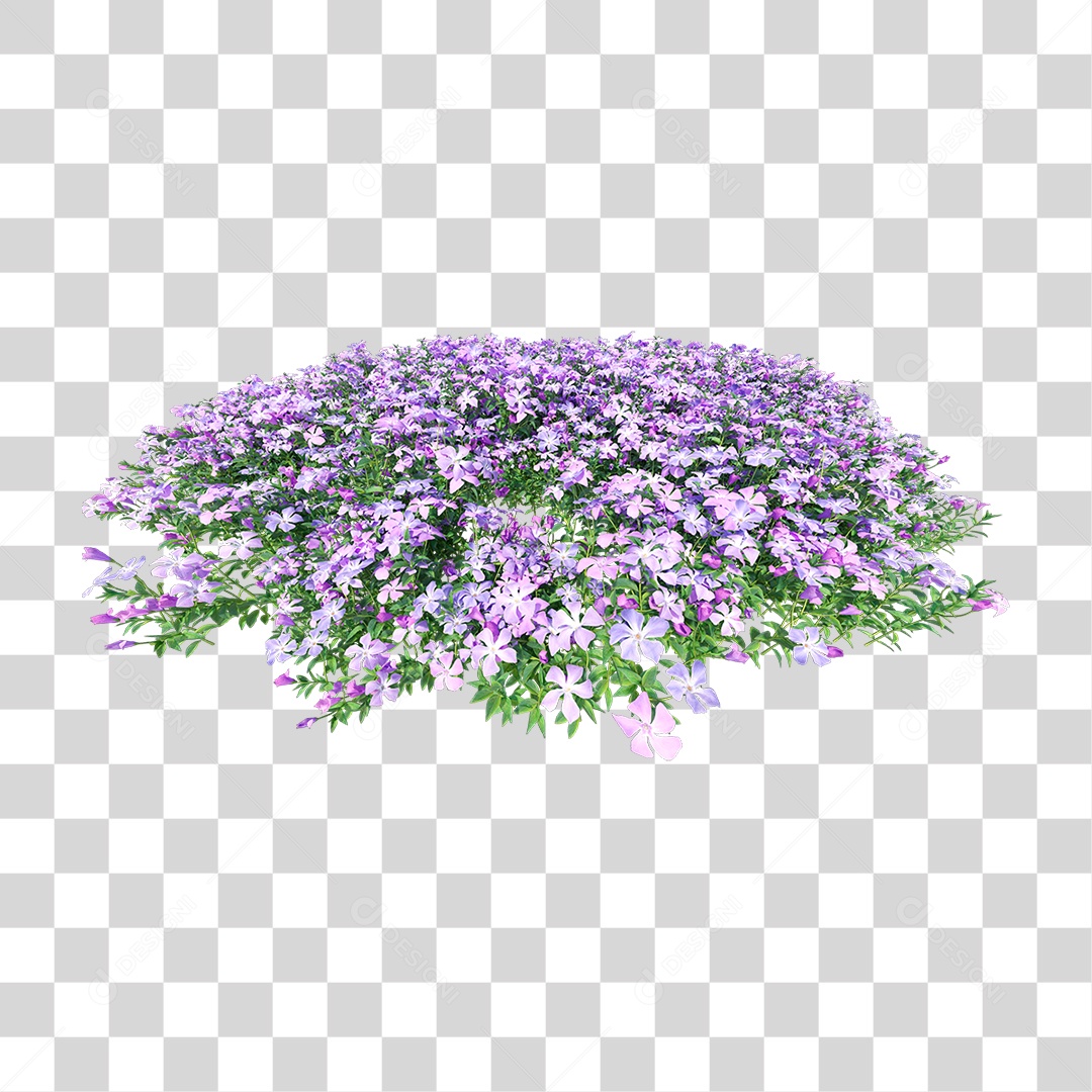 Planta Com Flor PNG Transparente