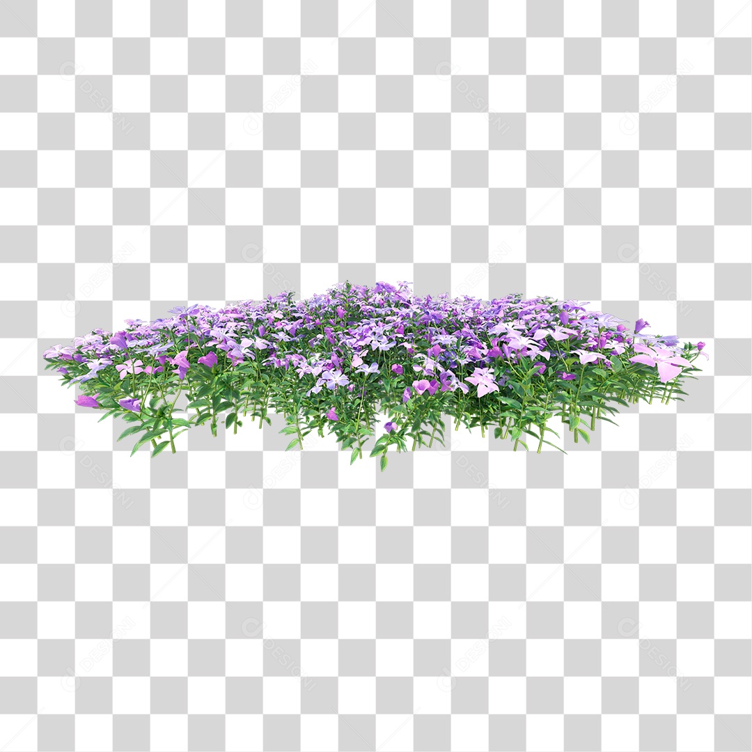 Planta Com Flor PNG Transparente