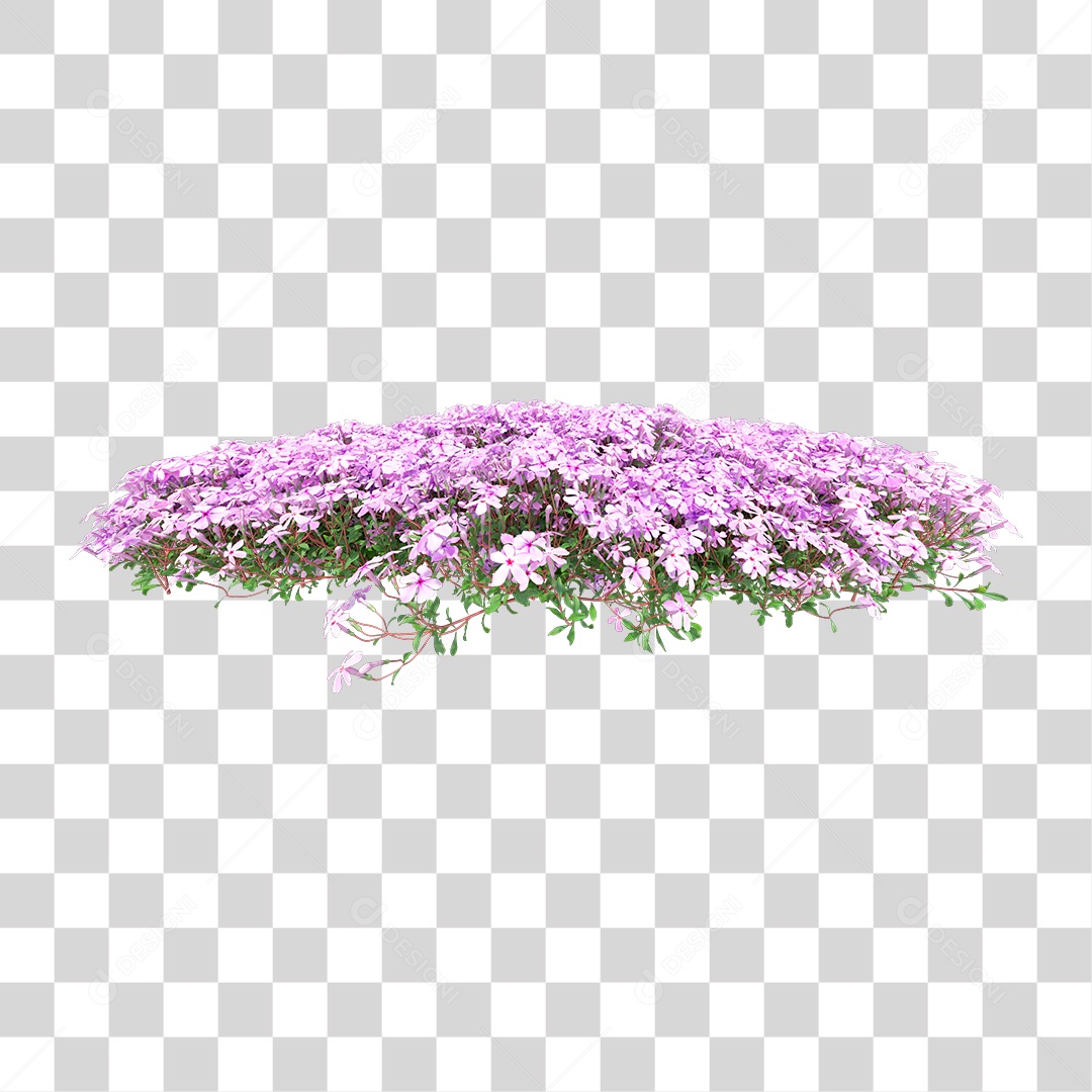 Planta Com Flor PNG Transparente