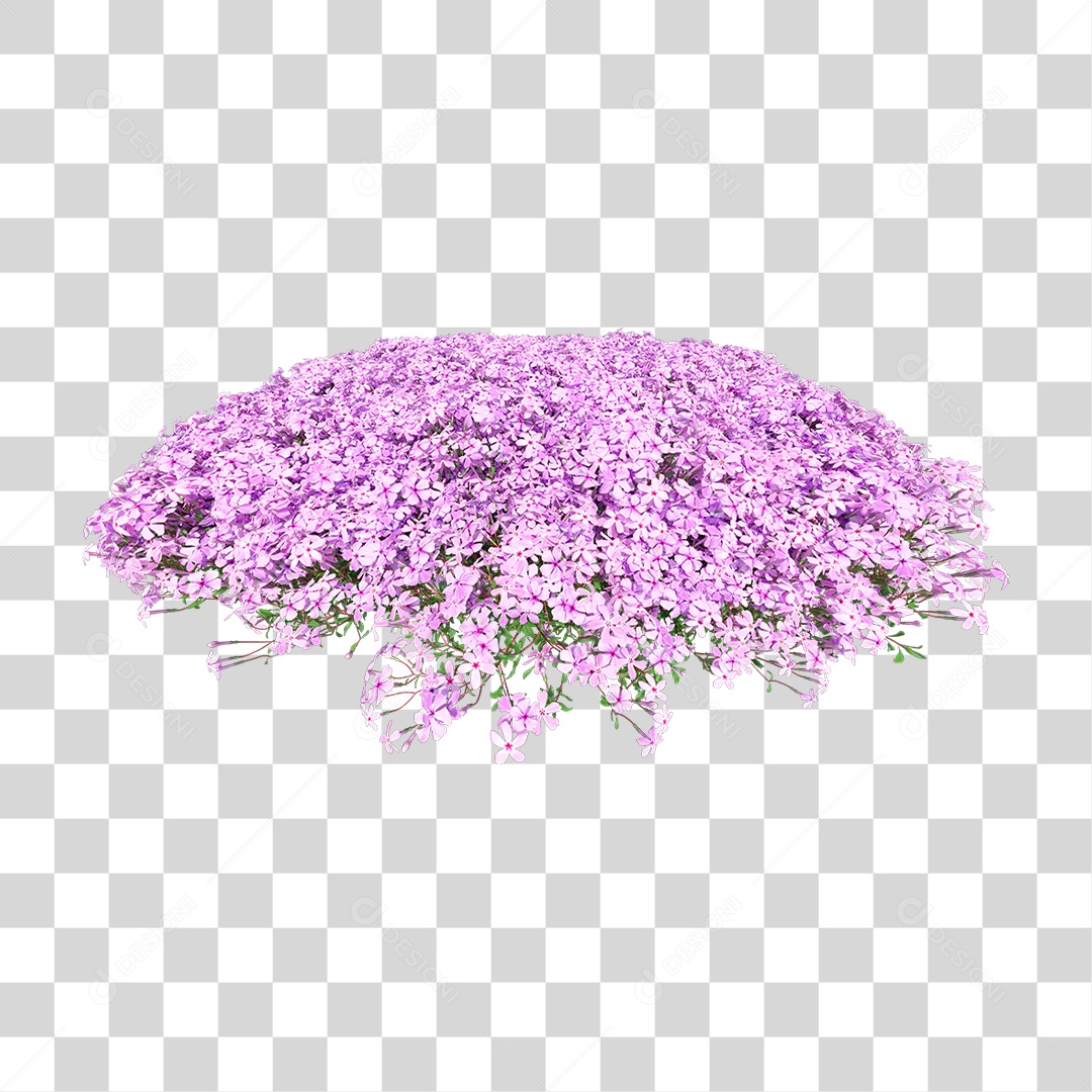 Planta Com Flor PNG Transparente