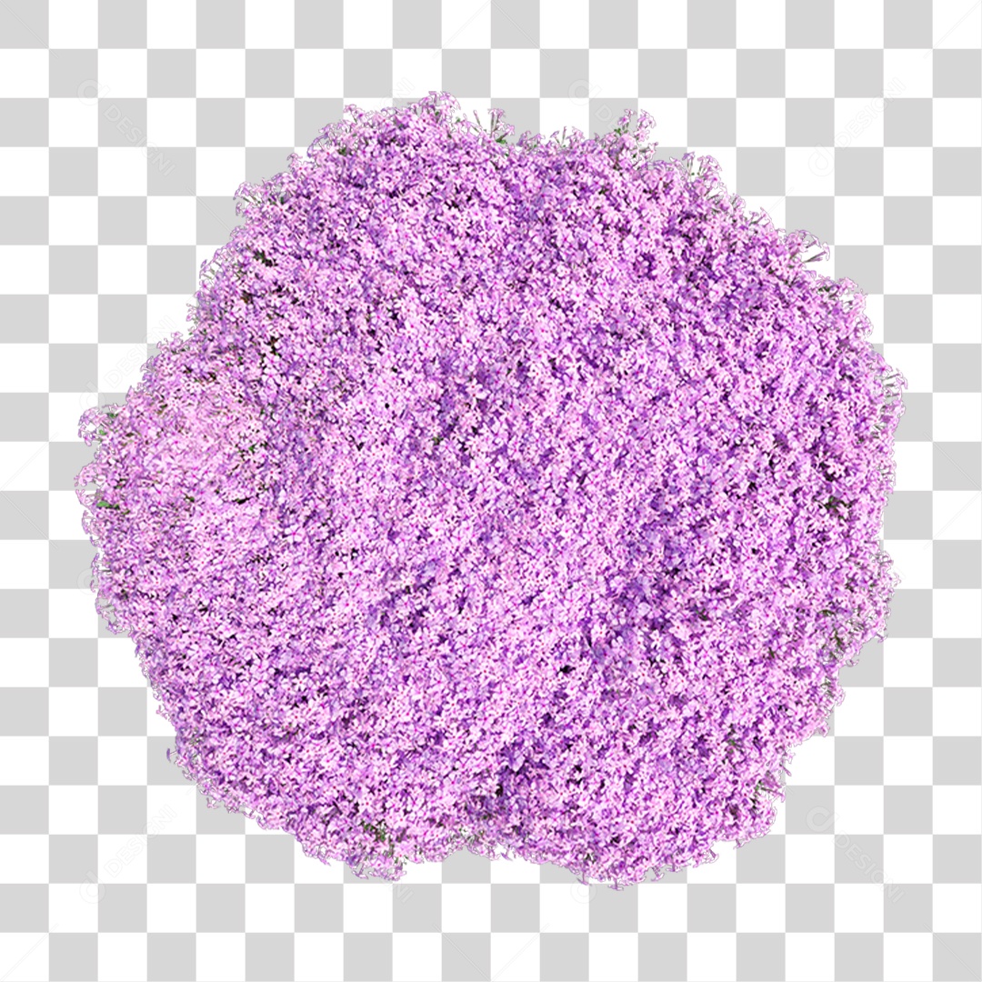 Planta Com Flor PNG Transparente