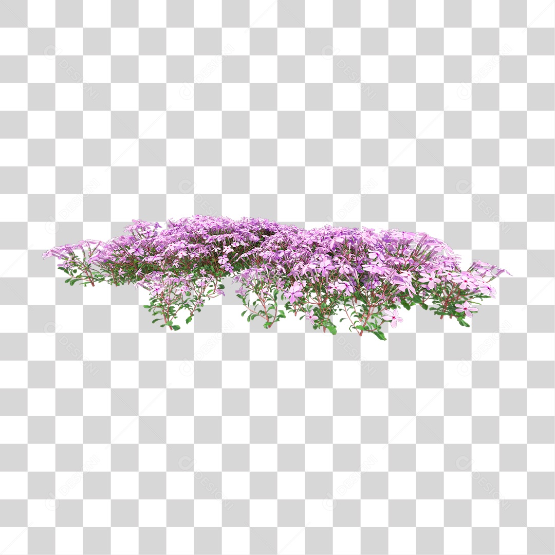 Planta Com Flor PNG Transparente