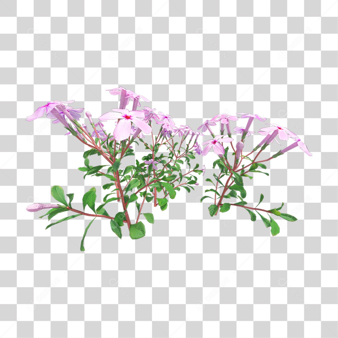 Planta Com Flor PNG Transparente
