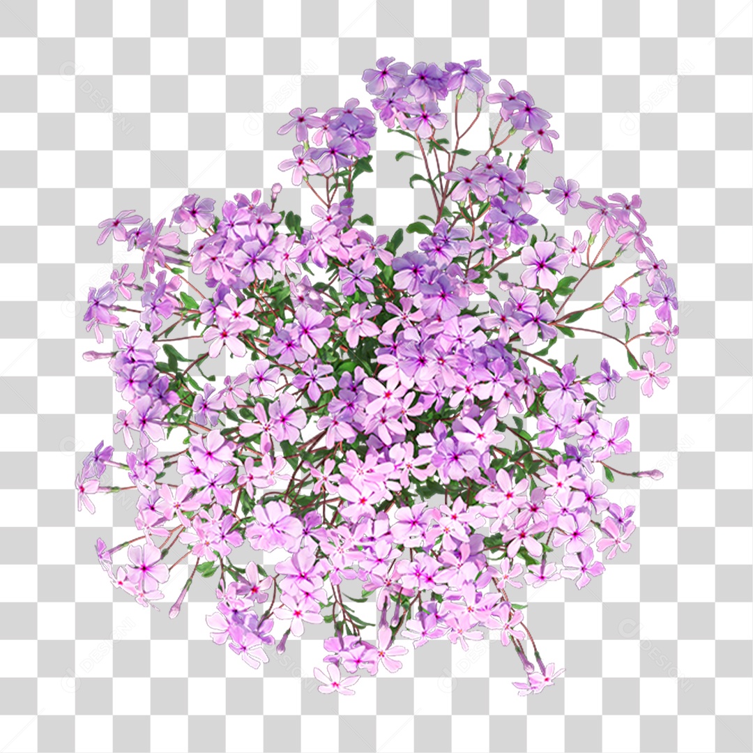 Planta Com Flor PNG Transparente