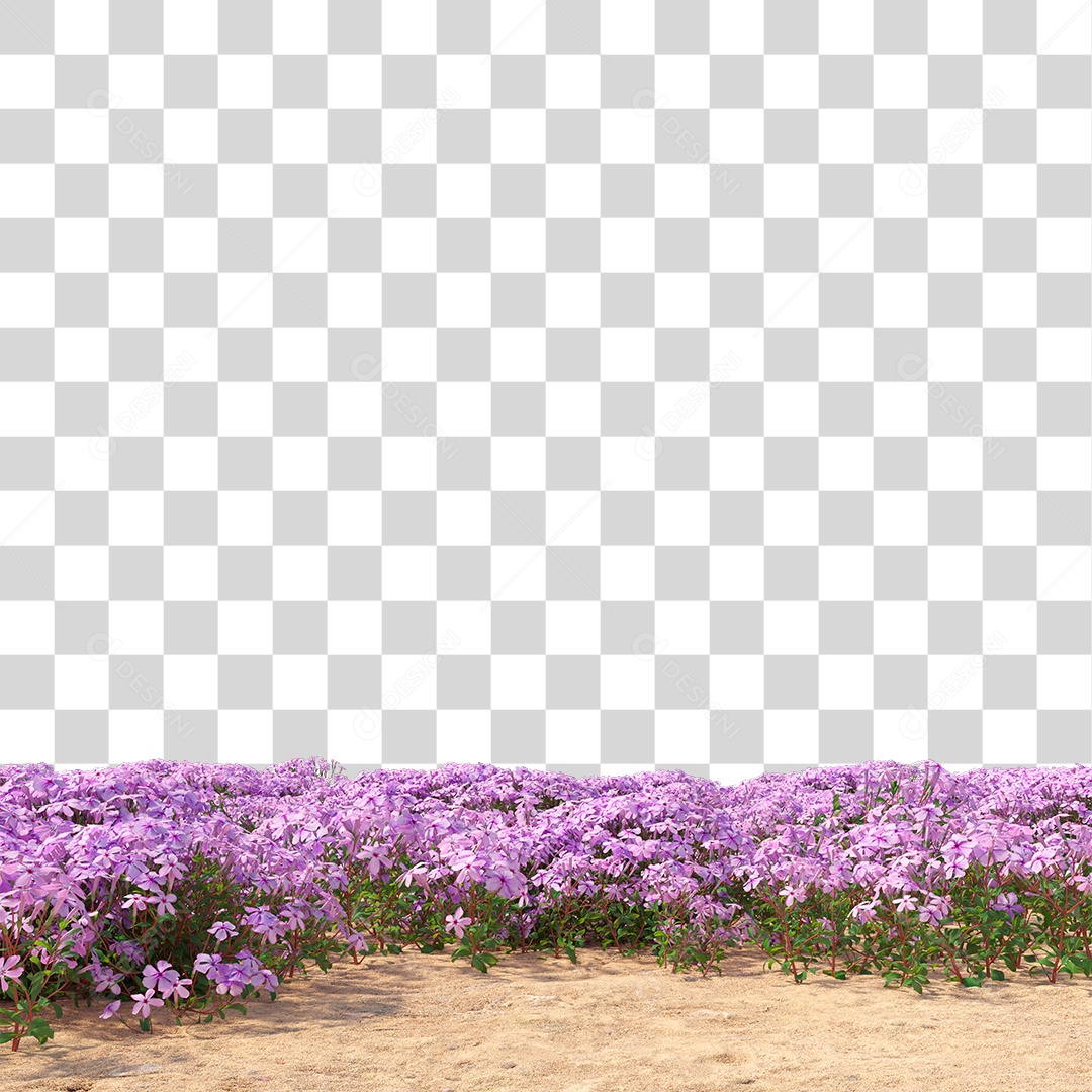 Planta Com Flor PNG Transparente