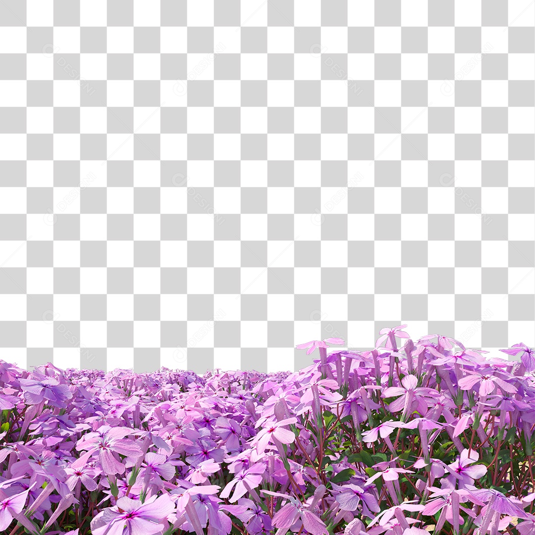 Planta Com Flor PNG Transparente