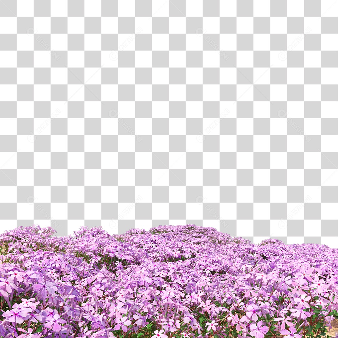 Planta Com Flor PNG Transparente