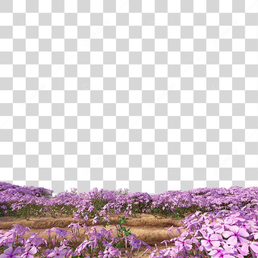 Planta Com Flor PNG Transparente