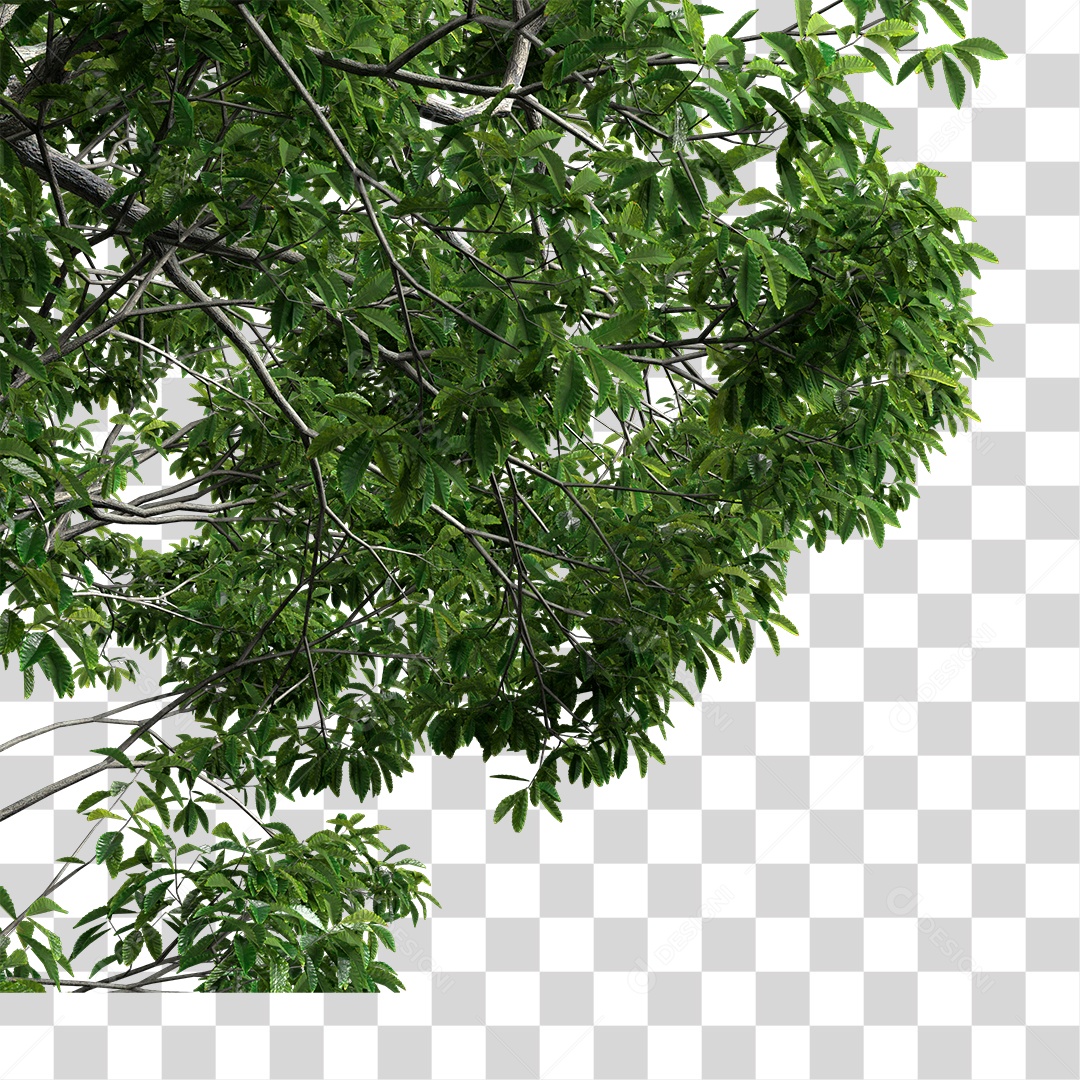 Árvore de Folha Verde Planta PNG Transparente