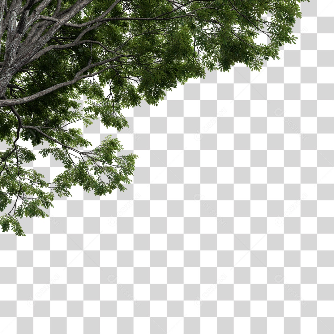 Árvore de Folha Verde Planta PNG Transparente