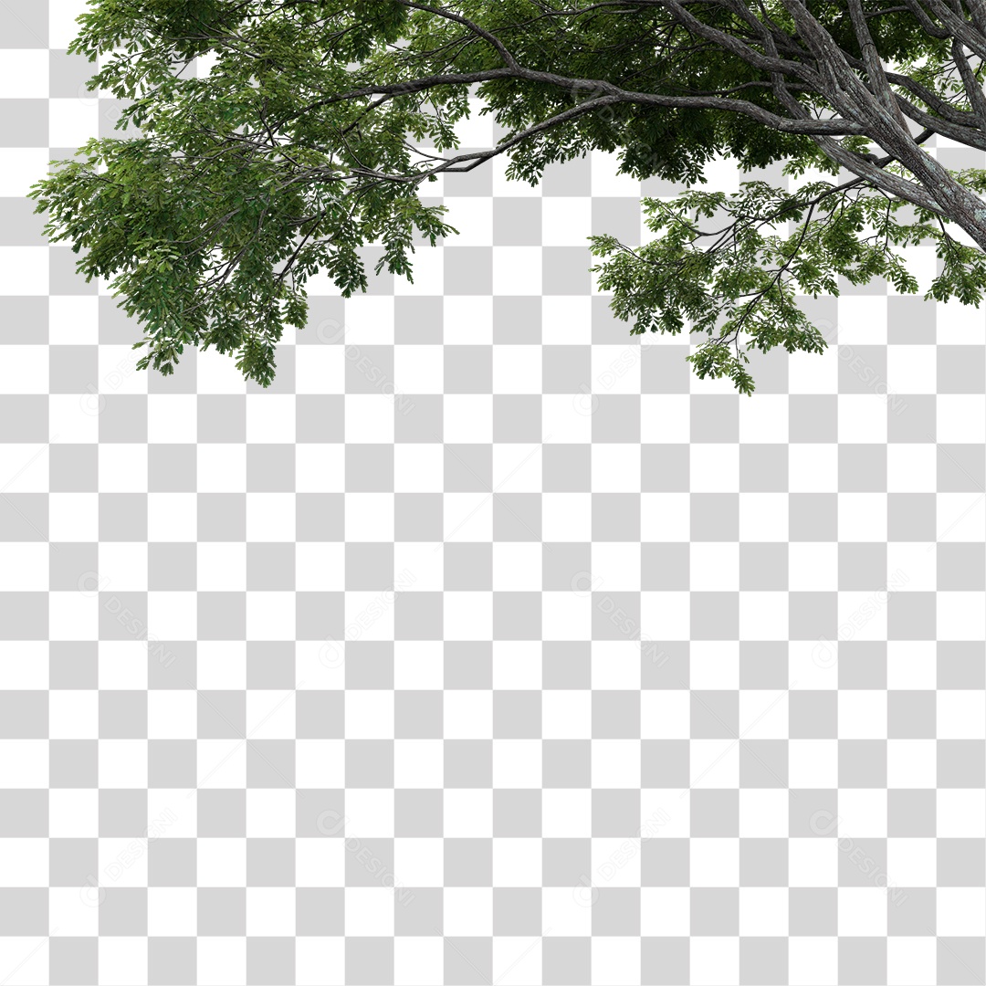 Árvore de Folha Verde Planta PNG Transparente