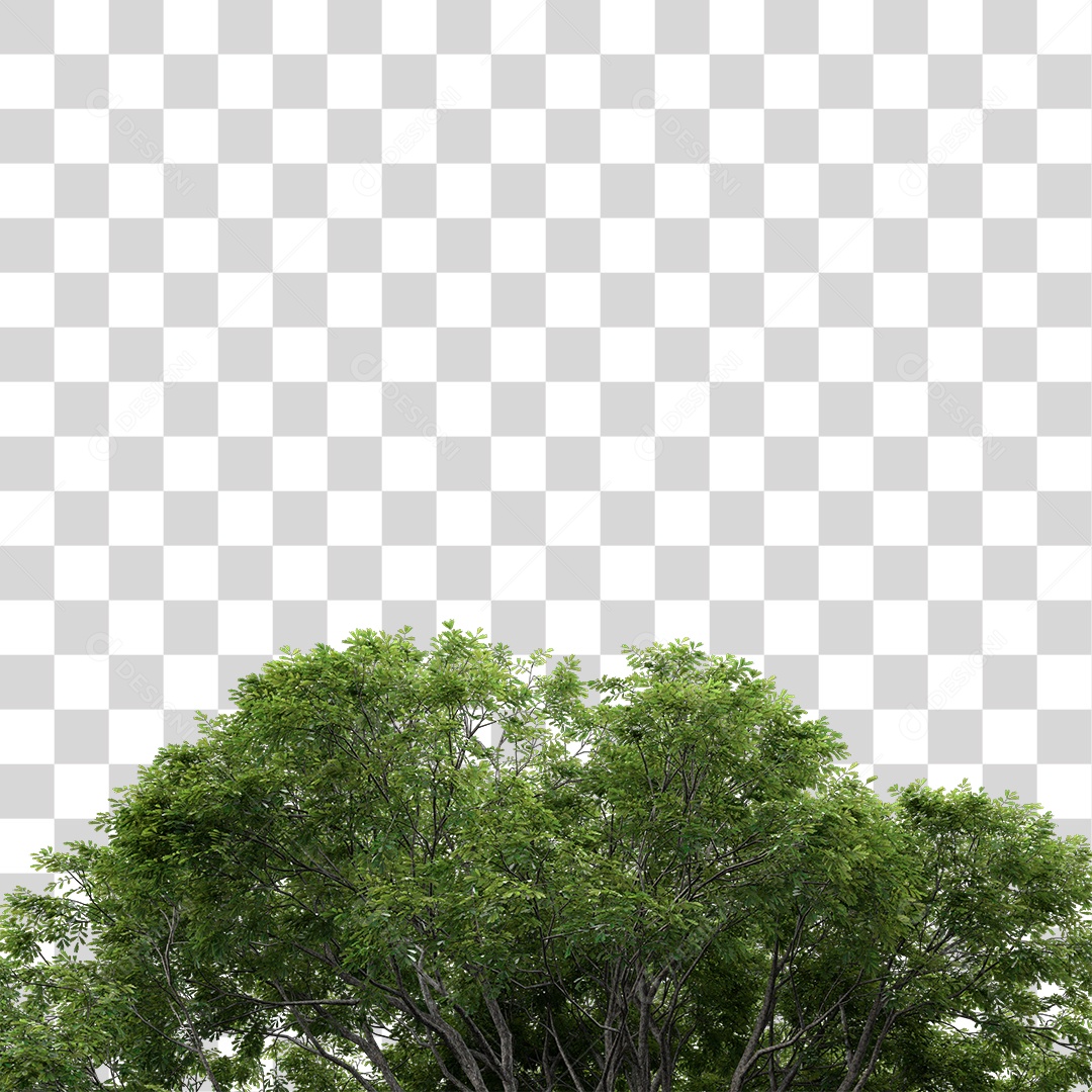 Árvore de Folha Verde Planta PNG Transparente