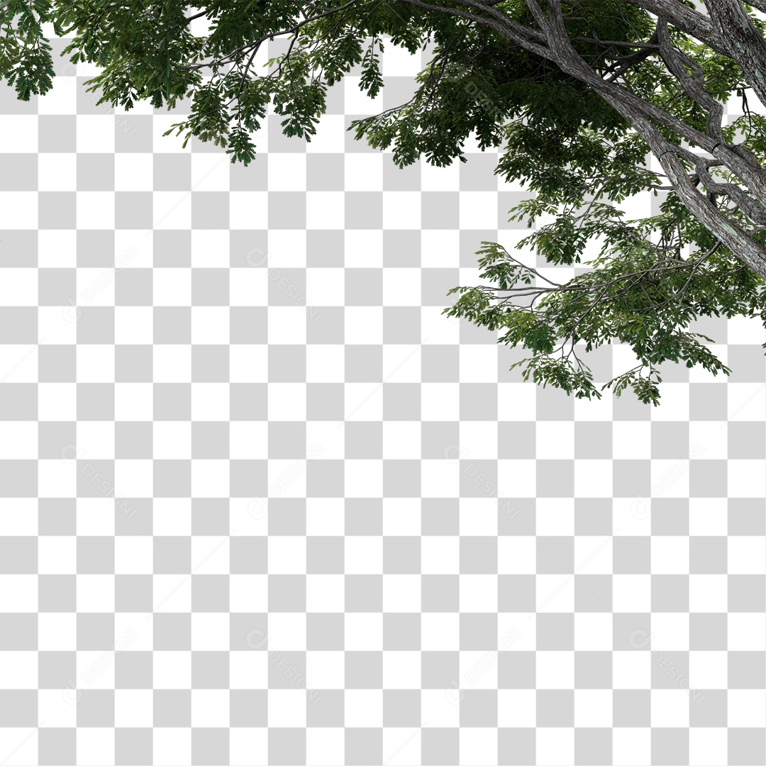 Árvore de Folha Verde Planta PNG Transparente