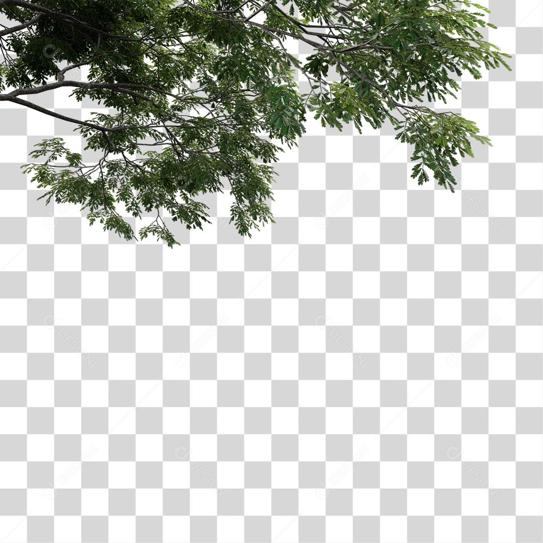 Árvore de Folha Verde Planta PNG Transparente