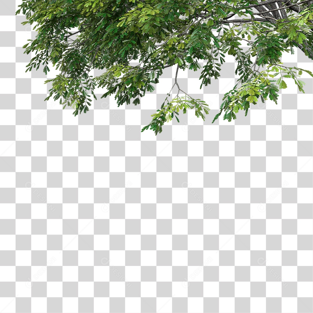 Árvore de Folha Verde Planta PNG Transparente