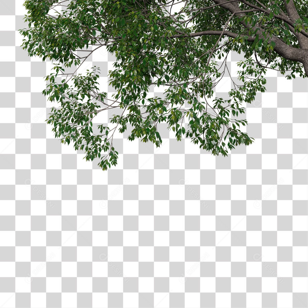 Árvore de Folha Verde Planta PNG Transparente