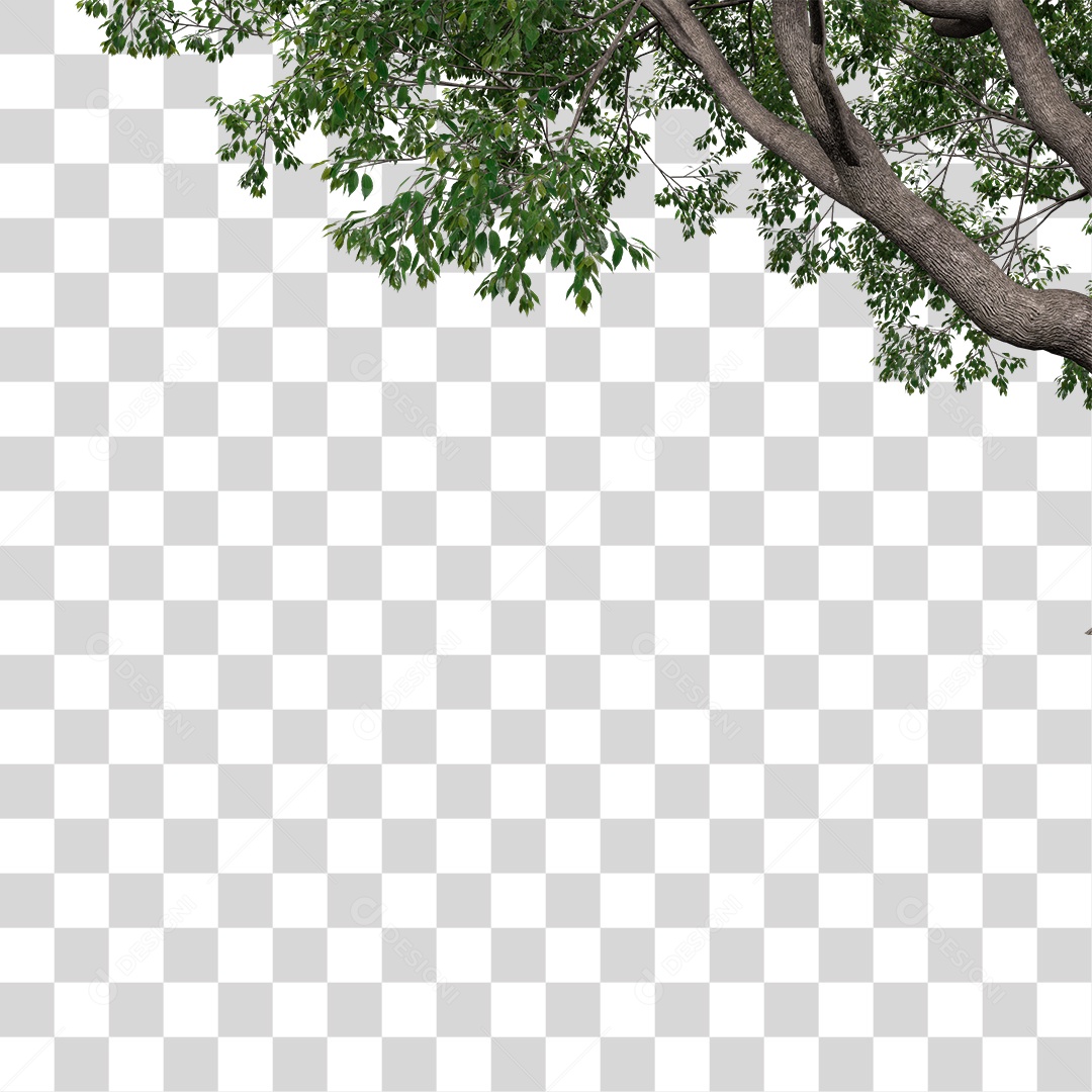 Árvore de Folha Verde Planta PNG Transparente