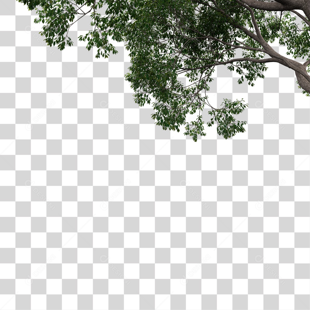 Árvore de Folha Verde Planta PNG Transparente