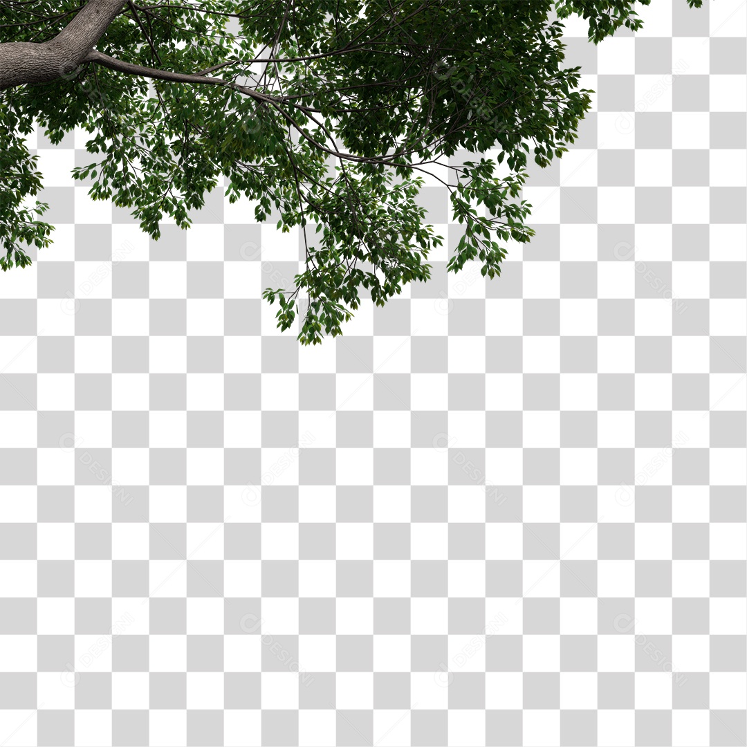 Árvore de Folha Verde Planta PNG Transparente