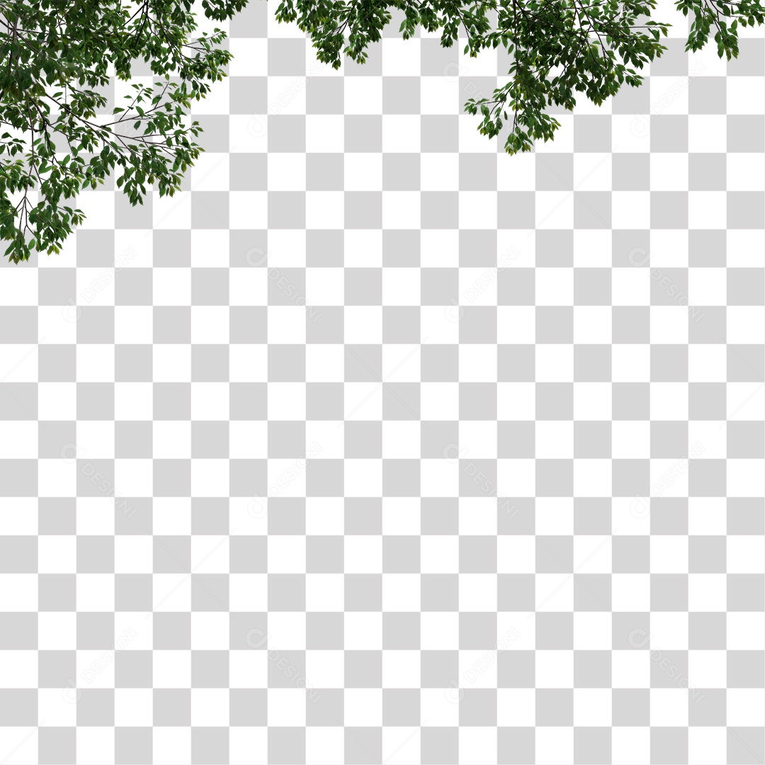 Folha De Árvore Verde Planta PNG Transparente