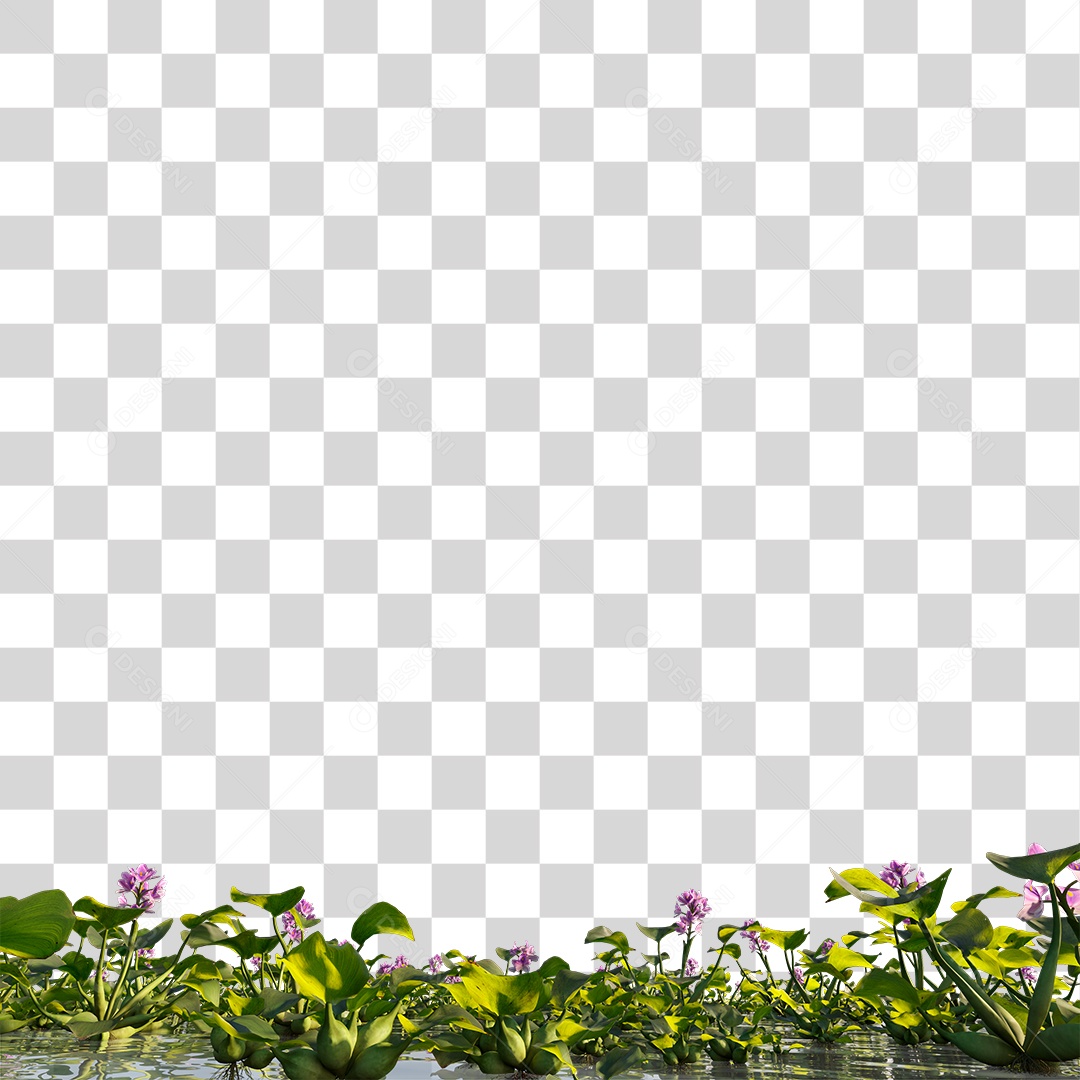 Lago Com Plantas PNG Transparente