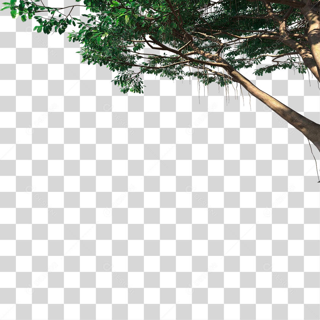 Galho De Árvore Com Folhas Verde PNG Transparente