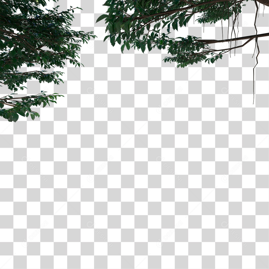 Galho De Árvore Com Folhas Verde PNG Transparente