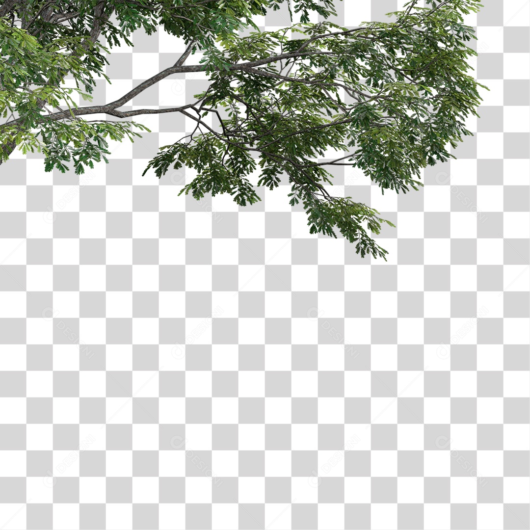 Galhos De Folhas Verdes PNG Transparente