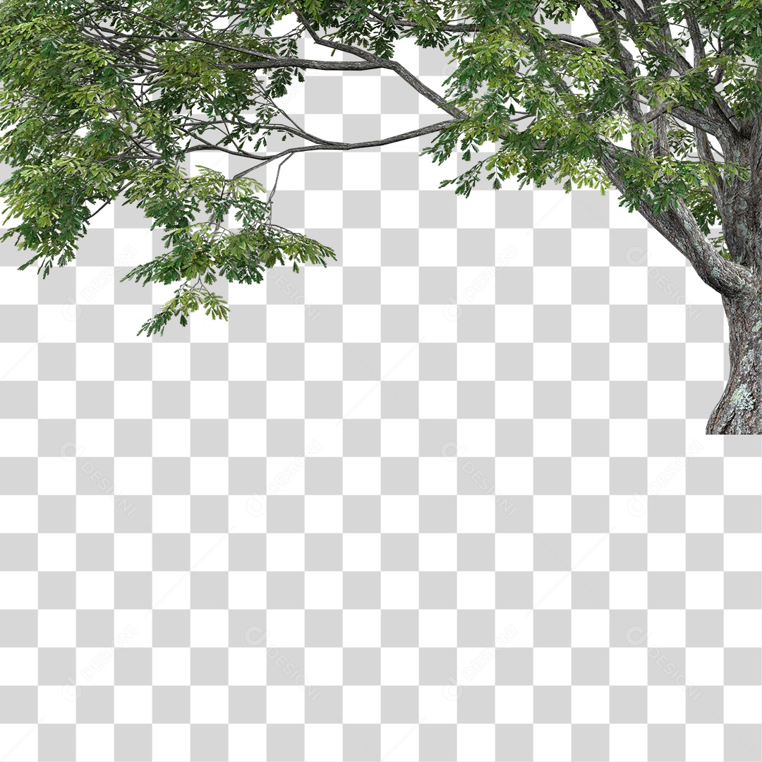 Galhos De Folhas Verdes PNG Transparente