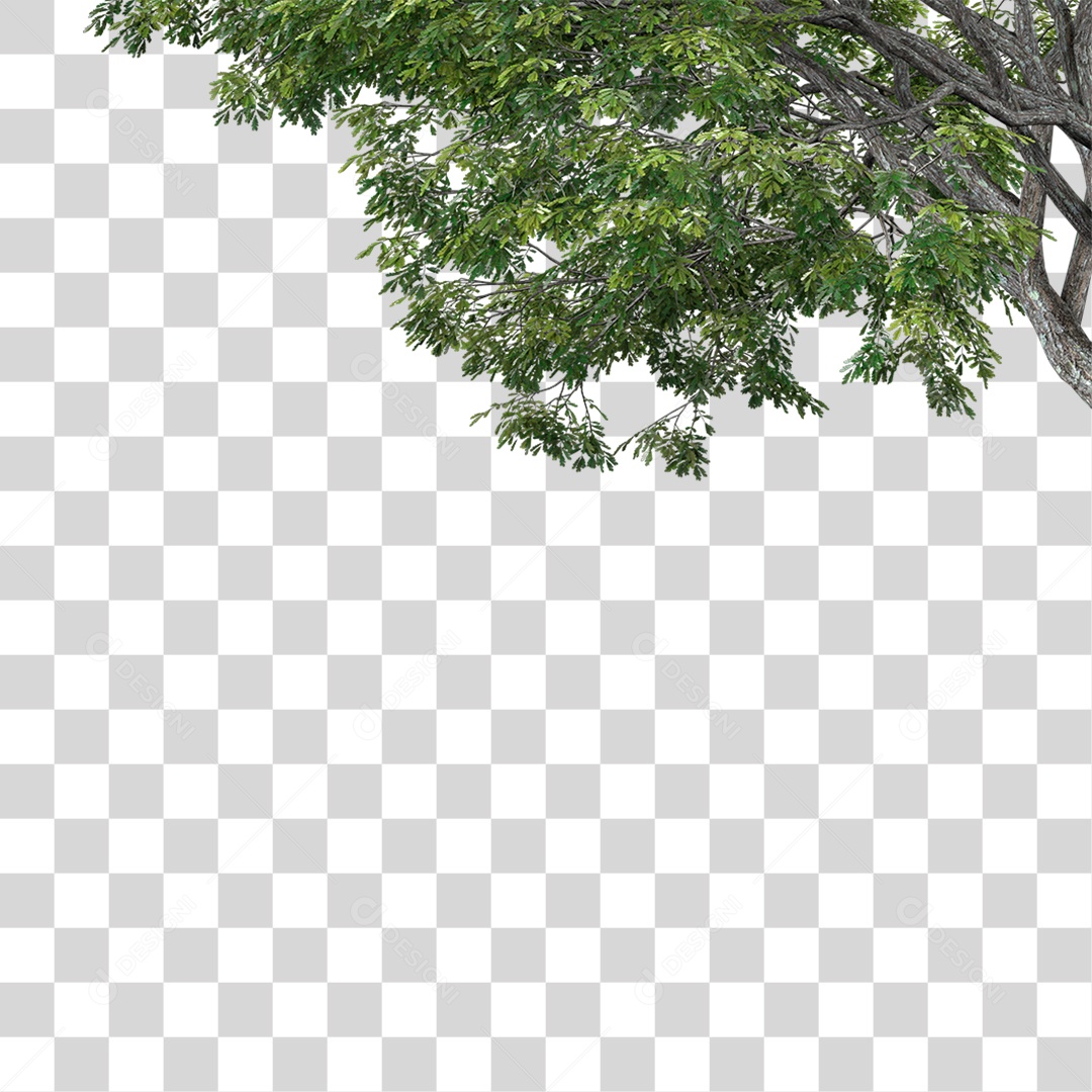 Galhos De Folhas Verdes PNG Transparente